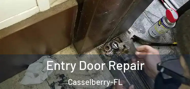  Entry Door Repair Casselberry-FL