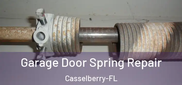  Garage Door Spring Repair Casselberry-FL