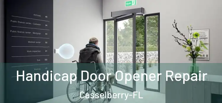  Handicap Door Opener Repair Casselberry-FL