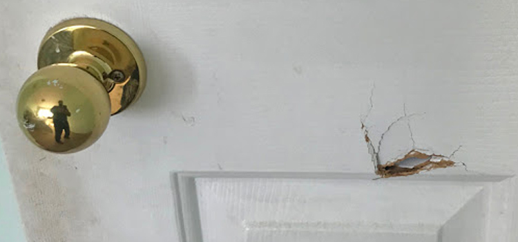 interior door hole repair Casselberry