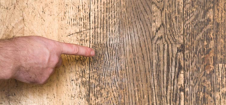 Wood Door Scratch Repair in Casselberry