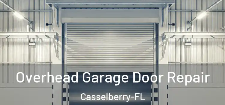  Overhead Garage Door Repair Casselberry-FL