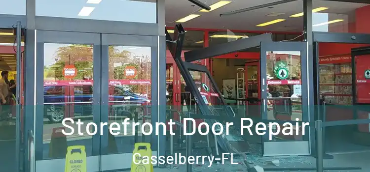  Storefront Door Repair Casselberry-FL